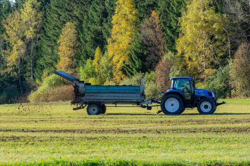 Fertilizing Guidelines