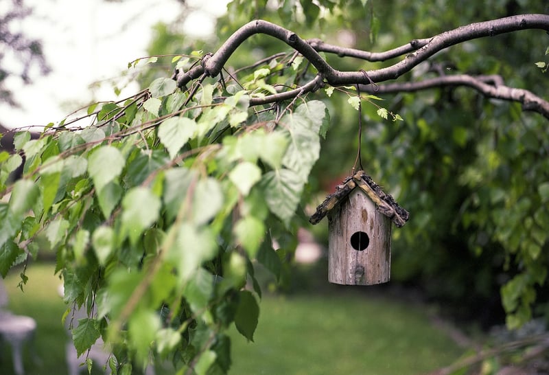 Creative Gardening Craft