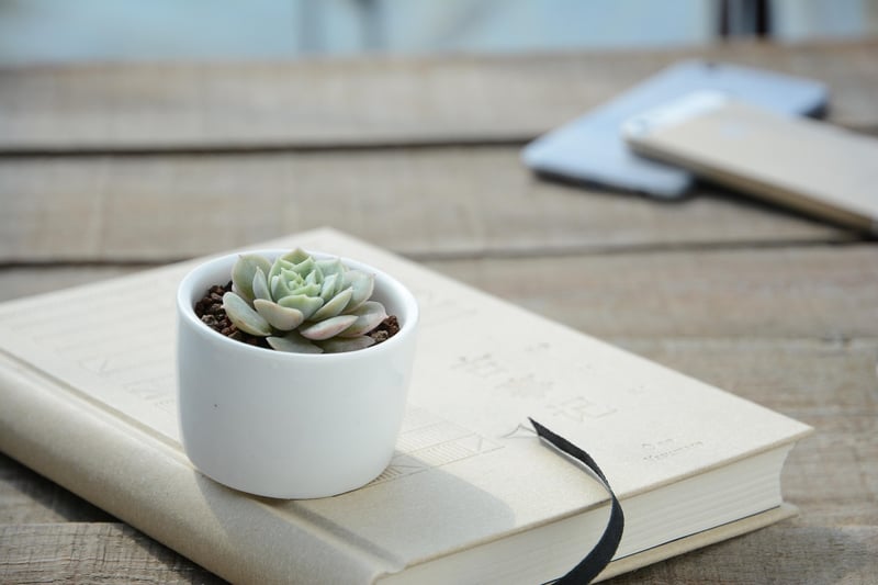 Upcycled Planter