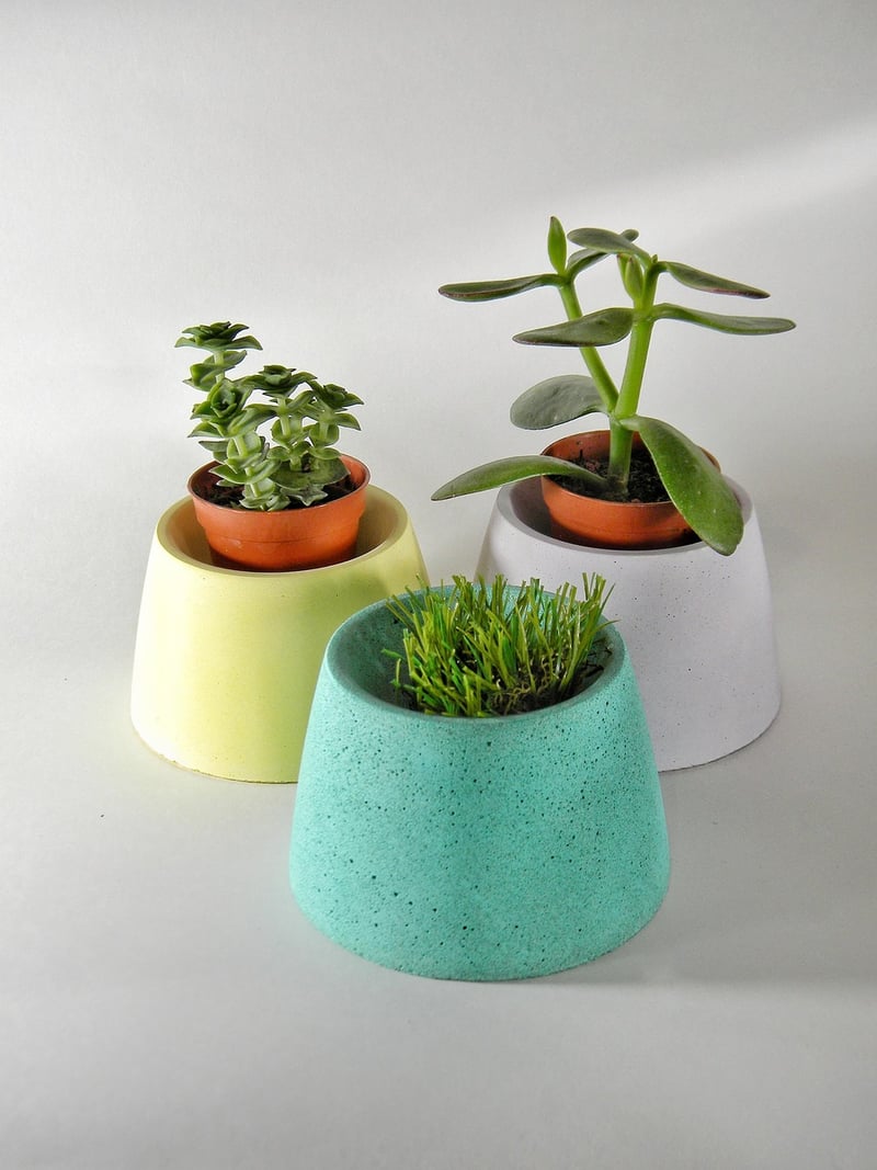 Upcycled Planters